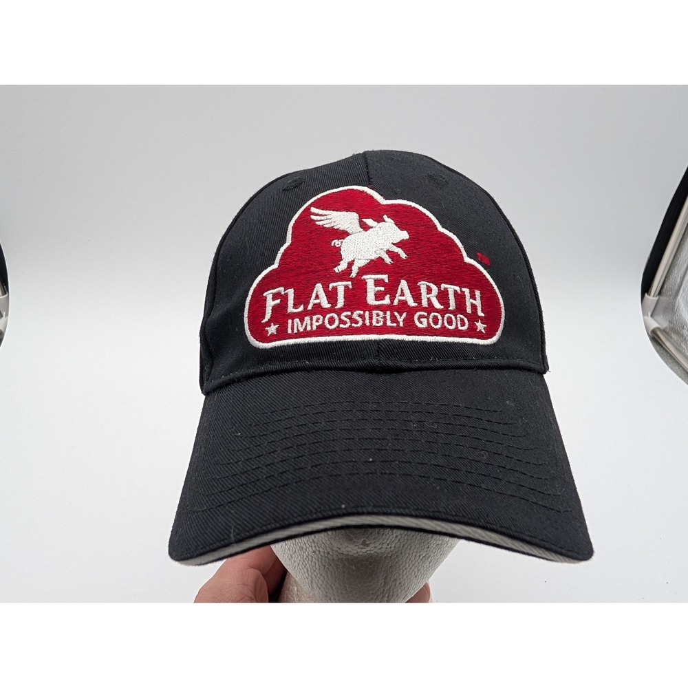 Flat Earth Impossibly Good Black Cotton Baseball Cap Adjustable Hat Flying Pig